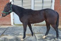 �ҿ�� (SO GOOD) ����