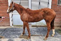 Ʈ�������� (TRIPLE J) ����