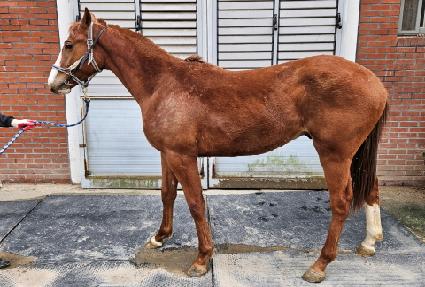 Ʈ�������� ����