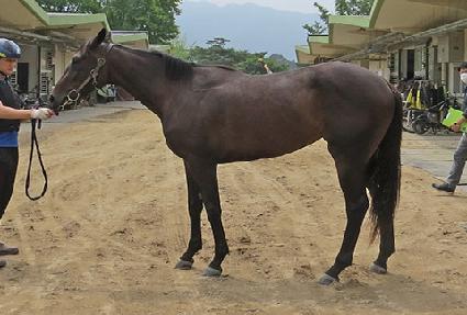 ������ ����