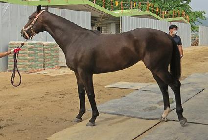 ��ī��Ʈ ����