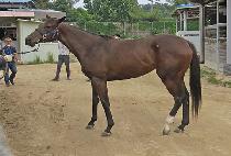 ĵ���� (CANDY ZONE) ����