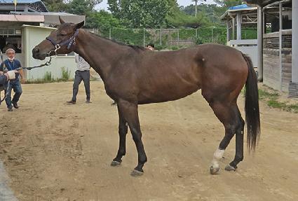 ĵ���� ����