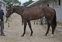 �񿡽��Ŀ� (BS POWER) ����