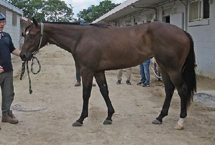 �񿡽��Ŀ� ����