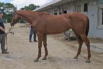 �񿡽������� (BS ENERGY) ����