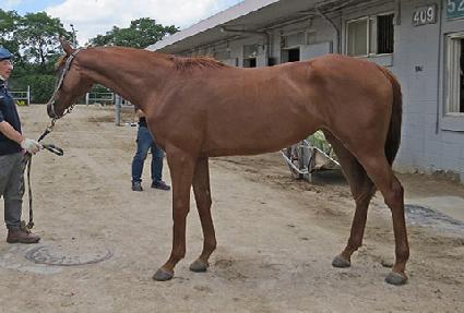 �񿡽������� ����