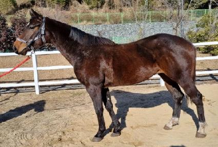 ȣ���ö��� ����