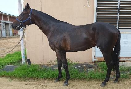 ������� ����