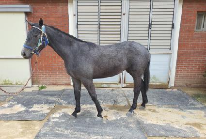 �ѻ���� ����