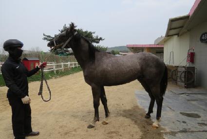 ����õ�� ����