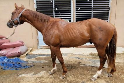 �����ǲ� ����