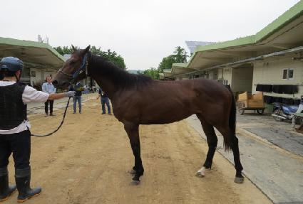 ��Ʈ�պ��� ����