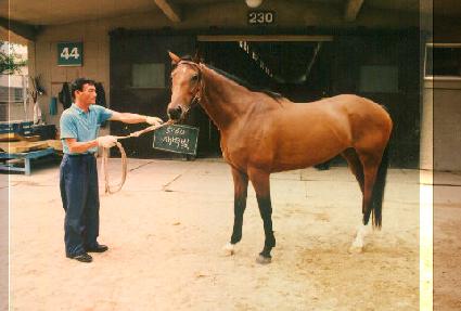 ������ ����