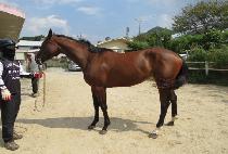 ����ҳ� (NAMSAN SONYEO) ����