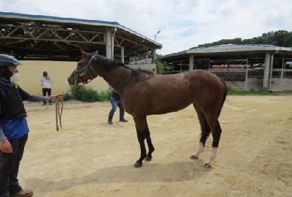 ���׺� ����