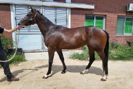 ���帮��ƮĹ ����