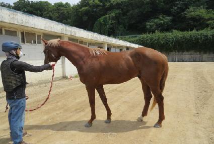 �۷θ����� ����