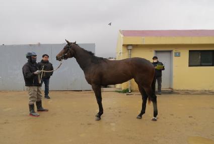 ����Ƽ�ƹ� ����