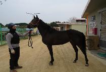 ������Ÿ�� (ORANGE TIME) ����