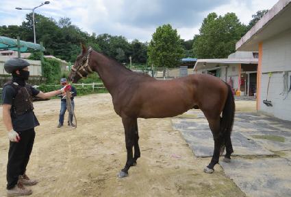 ������ ����