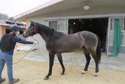 �ο��轺 ����