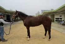 �����̸ӽ� (ONE FAMOUS) ����