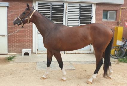 �۷θ������� ����