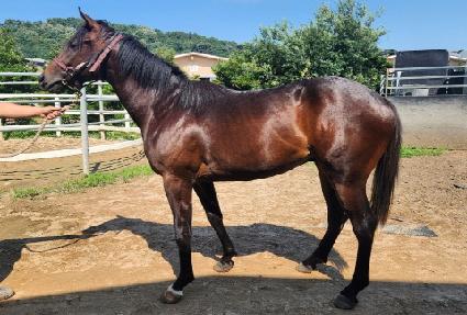 �������� ����