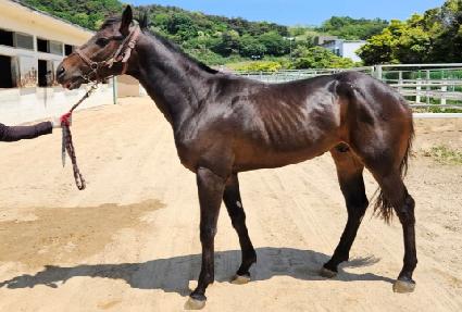 ���̷ο� ����