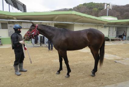 �긮��Ʈ���� ����