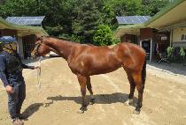 ���ǻ����Ǯ (GWANAKSAN WONDERFUL) ����