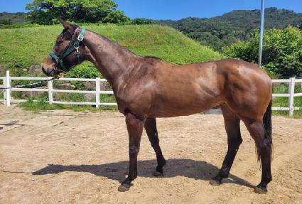 ������� ����