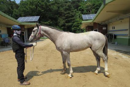 ���ǻ�üũ�� ����