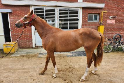 ������� ����