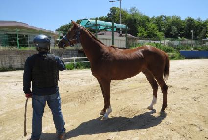 û�ؽ�Ÿ ����