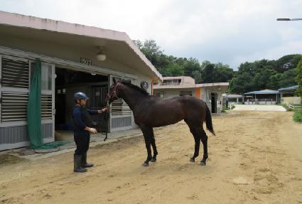 ���Ǽ��� ����