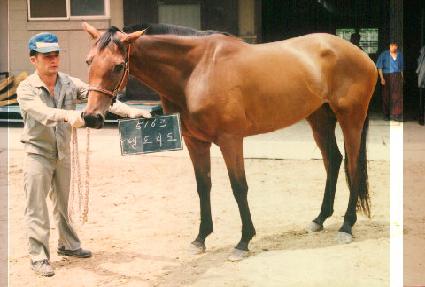 ������ ����