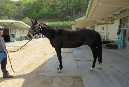 ĭ�ƽ� ����