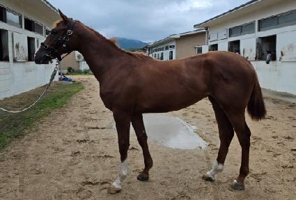 �ع��� ����