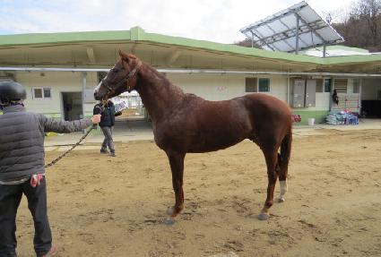 �ǿ��������� ����