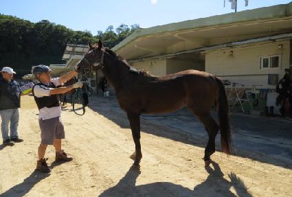 �ݰ����� ����