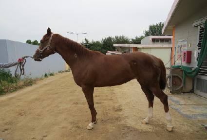 �ʿ���ǳ ����