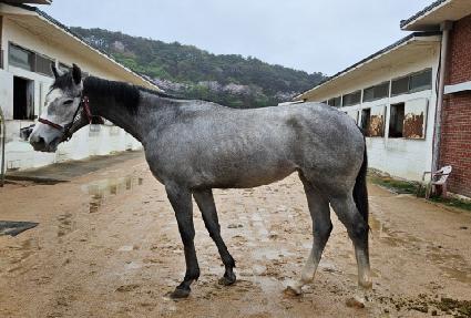 ������ ����