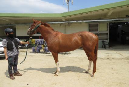 �η��̼� ����