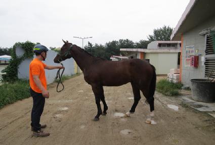 ĳ���� ����