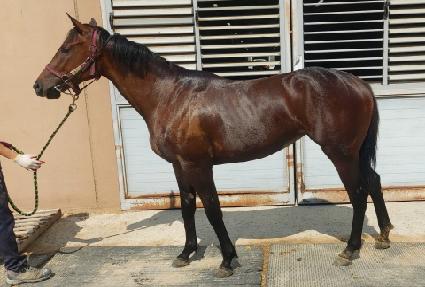 ������ ����