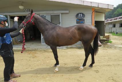 �ǵ� ����