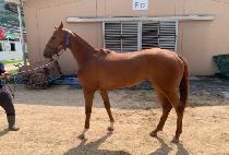 ��Ʈ���� (HIT WINNER) ����