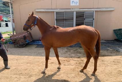 ��Ʈ���� ����